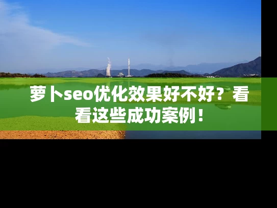 萝卜seo优化效果好不好？看看这些成功案例！