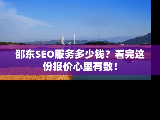 邵东SEO服务多少钱？看完这份报价心里有数！