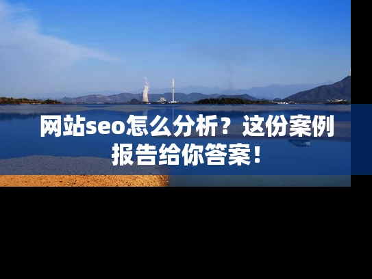 网站seo怎么分析？这份案例报告给你答案！