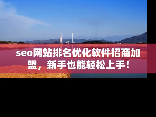 seo网站排名优化软件招商加盟，新手也能轻松上手！