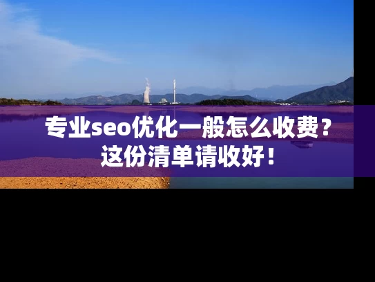 专业seo优化一般怎么收费？这份清单请收好！