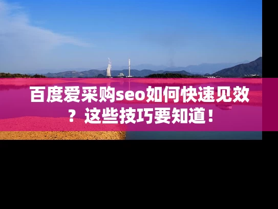 百度爱采购seo如何快速见效？这些技巧要知道！