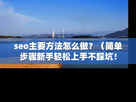 seo主要方法怎么做？（简单步骤新手轻松上手不踩坑！