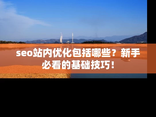 seo站内优化包括哪些？新手必看的基础技巧！