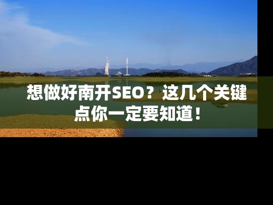 想做好南开SEO？这几个关键点你一定要知道！