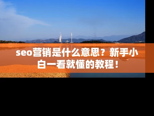 seo营销是什么意思？新手小白一看就懂的教程！
