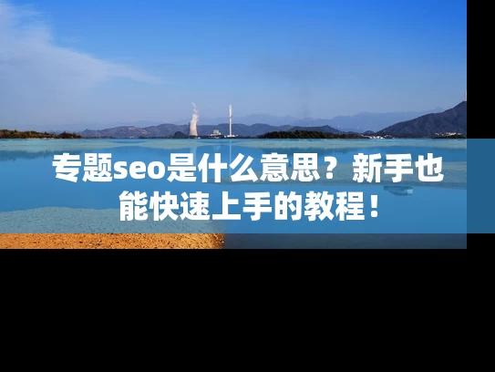 专题seo是什么意思？新手也能快速上手的教程！
