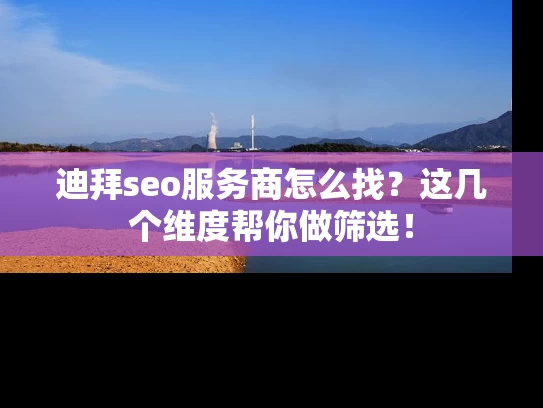 迪拜seo服务商怎么找？这几个维度帮你做筛选！