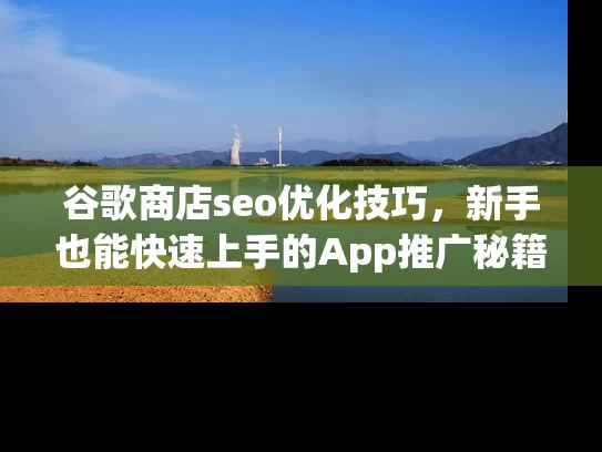 谷歌商店seo优化技巧，新手也能快速上手的App推广秘籍！