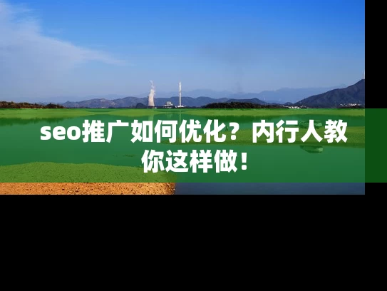 seo推广如何优化？内行人教你这样做！
