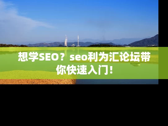想学SEO？seo利为汇论坛带你快速入门！