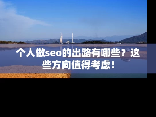个人做seo的出路有哪些？这些方向值得考虑！