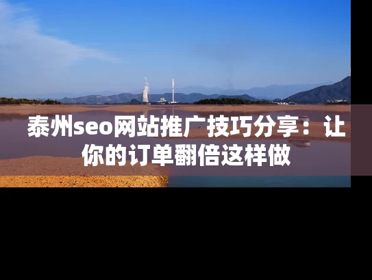 泰州seo网站推广技巧分享：让你的订单翻倍这样做