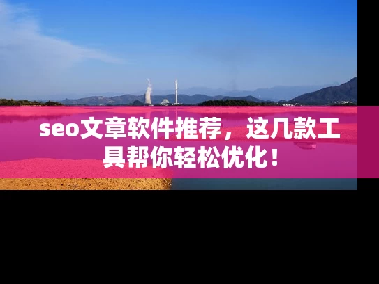 seo文章软件推荐，这几款工具帮你轻松优化！