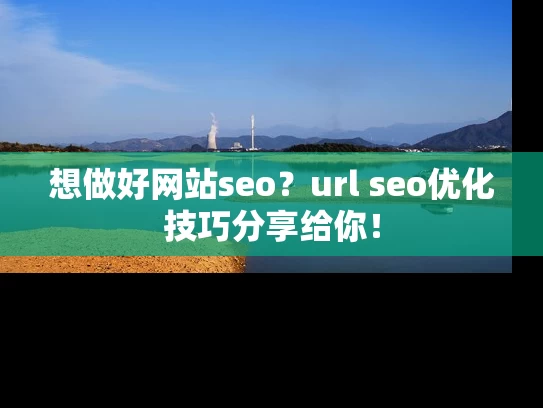 想做好网站seo？url seo优化技巧分享给你！