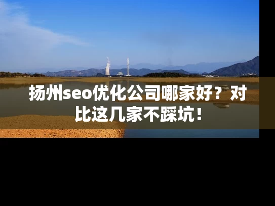 扬州seo优化公司哪家好？对比这几家不踩坑！