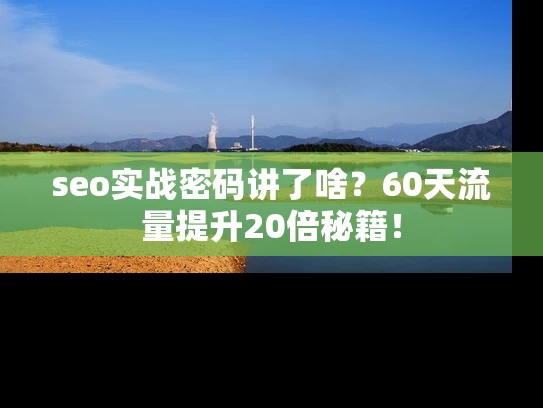 seo实战密码讲了啥？60天流量提升20倍秘籍！