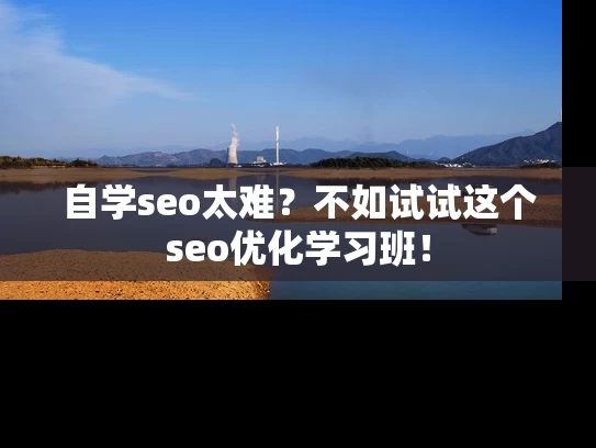 自学seo太难？不如试试这个seo优化学习班！