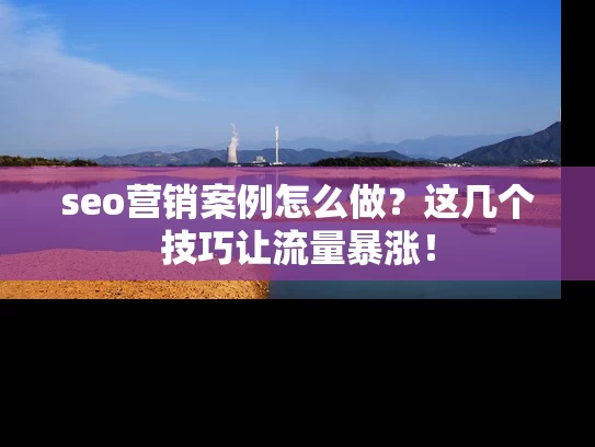 seo营销案例怎么做？这几个技巧让流量暴涨！