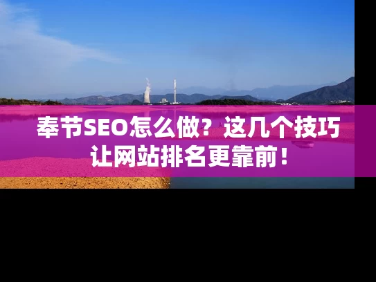 奉节SEO怎么做？这几个技巧让网站排名更靠前！