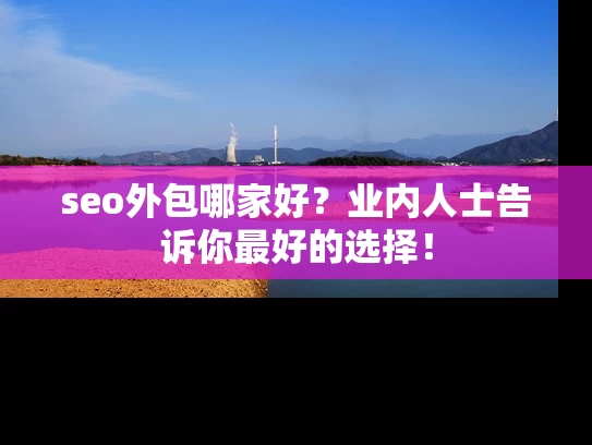 seo外包哪家好？业内人士告诉你最好的选择！