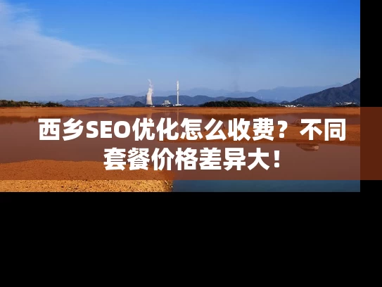 西乡SEO优化怎么收费？不同套餐价格差异大！