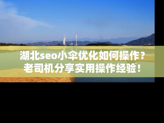 湖北seo小伞优化如何操作？老司机分享实用操作经验！