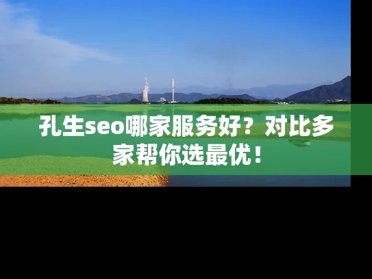 孔生seo哪家服务好？对比多家帮你选最优！