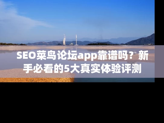 SEO菜鸟论坛app靠谱吗？新手必看的5大真实体验评测