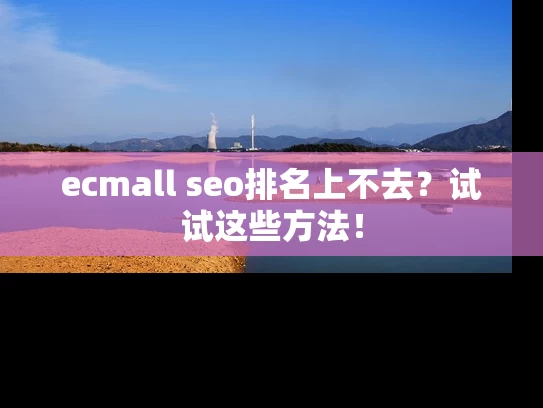 ecmall seo排名上不去？试试这些方法！
