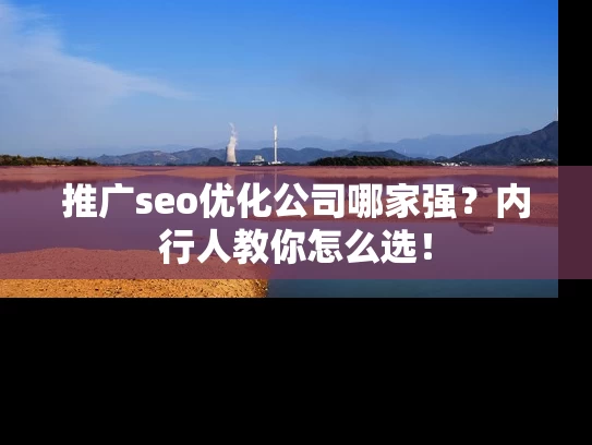 推广seo优化公司哪家强？内行人教你怎么选！