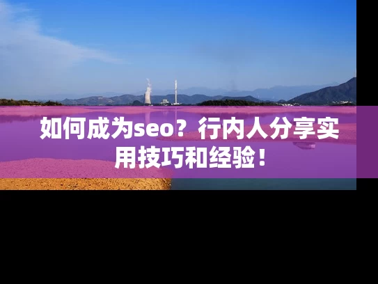 如何成为seo？行内人分享实用技巧和经验！