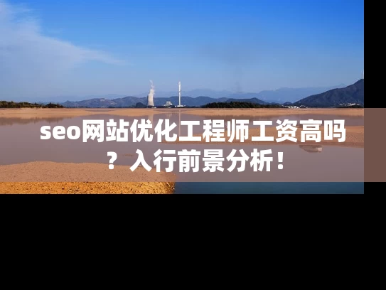 seo网站优化工程师工资高吗？入行前景分析！