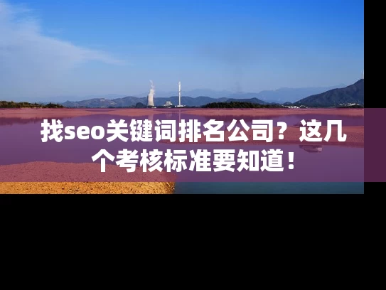 找seo关键词排名公司？这几个考核标准要知道！