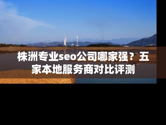 株洲专业seo公司哪家强？五家本地服务商对比评测