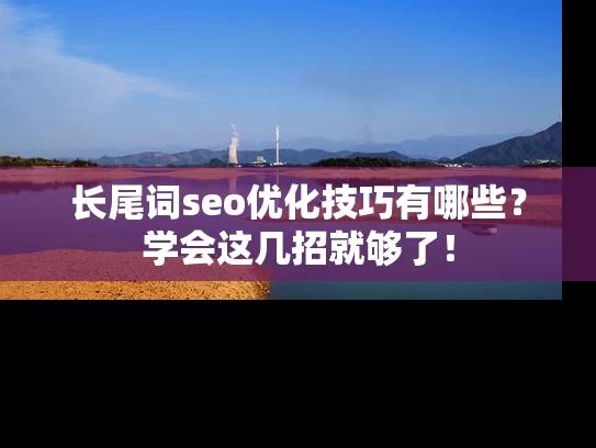 长尾词seo优化技巧有哪些？学会这几招就够了！