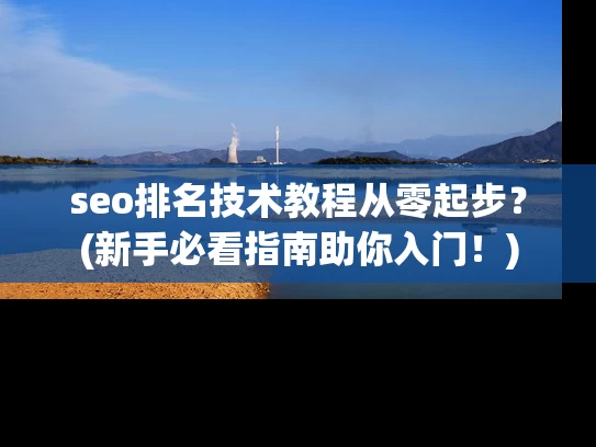 seo排名技术教程从零起步？(新手必看指南助你入门！)