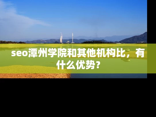 seo潭州学院和其他机构比，有什么优势？