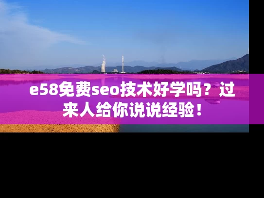 e58免费seo技术好学吗？过来人给你说说经验！