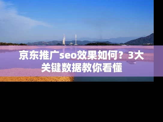 京东推广seo效果如何？3大关键数据教你看懂