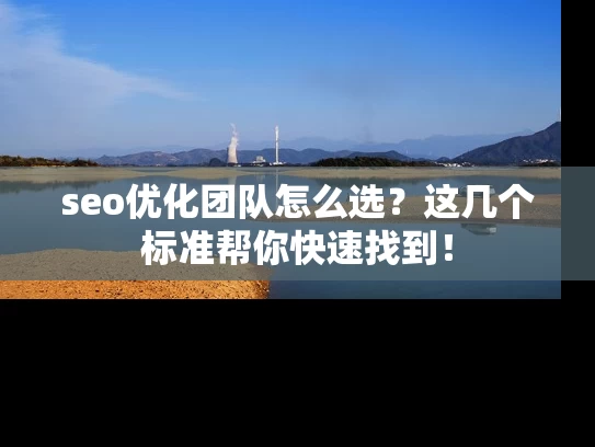 seo优化团队怎么选？这几个标准帮你快速找到！