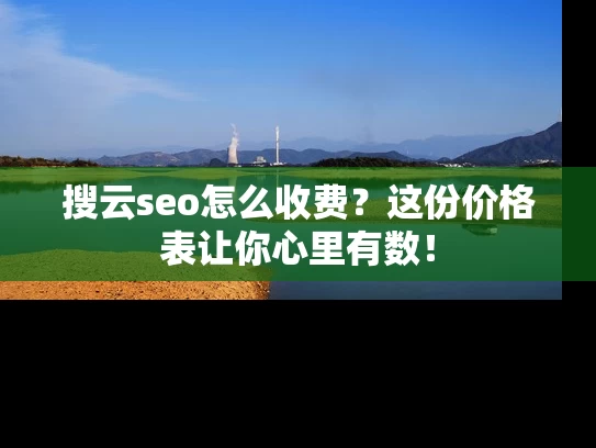 搜云seo怎么收费？这份价格表让你心里有数！