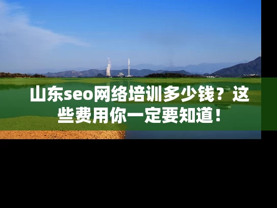 山东seo网络培训多少钱？这些费用你一定要知道！