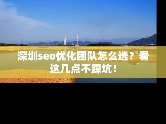 深圳seo优化团队怎么选？看这几点不踩坑！