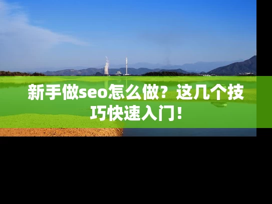 新手做seo怎么做？这几个技巧快速入门！