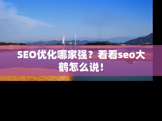 SEO优化哪家强？看看seo大鹤怎么说！