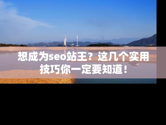 想成为seo站王？这几个实用技巧你一定要知道！