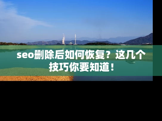 seo删除后如何恢复？这几个技巧你要知道！