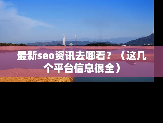 最新seo资讯去哪看？（这几个平台信息很全）