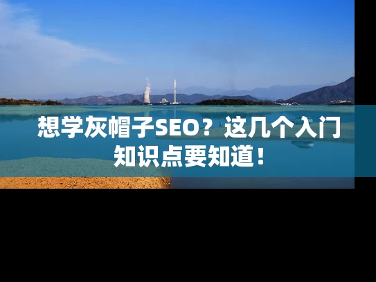 想学灰帽子SEO？这几个入门知识点要知道！